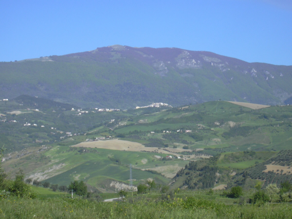 A.I. - Vista su Monte Cappucciata